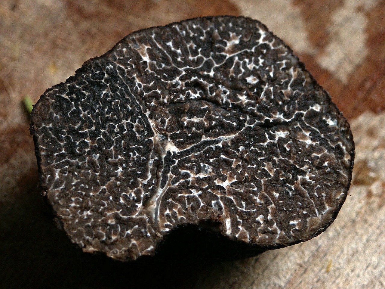 Fresh Black truffle (Tuber Melanosporum)