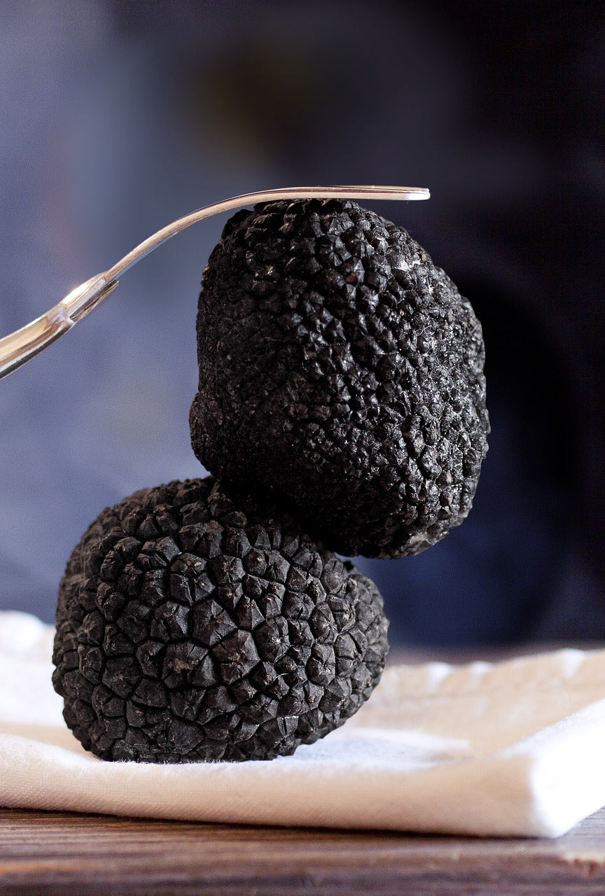 Introduction to the different varieties of truffle